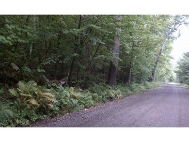 0 Pearl Lake Rd unit 4180994, Sugar Hill, NH 03586 - photo 4