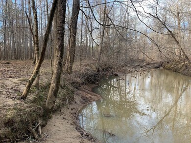 4120 N Carolina 96, Oxford, NC 27565 - photo 5