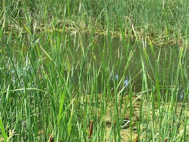 4301 N White Hawk Dr, Appleton, WI 54913 - photo 4