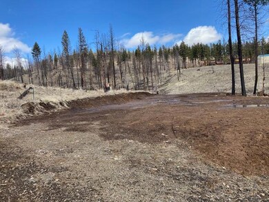 0 Corral Gulch Rd unit 220104153, Canyon City, OR 97820 - photo 7