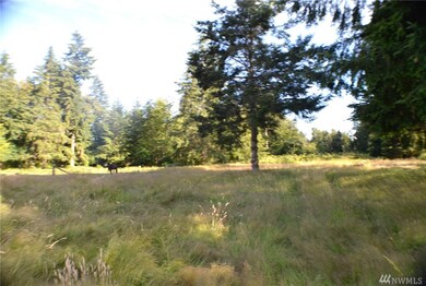 14710 Kapowsin Hwy E, Graham, WA 98338 - photo 2