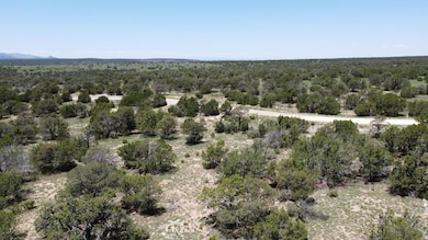 Lot 16 Swayback Trail, Corona, NM 87047 - photo 6