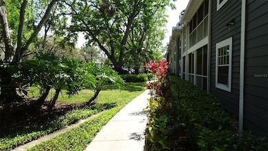 Front walk way.