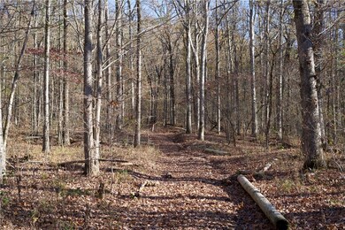 0 Big Spring Rd unit 1235038, Winslow, AR 72959 - photo 3