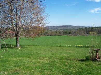 Backyard 2