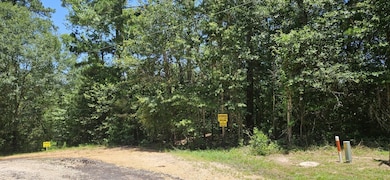 00 Blanks Bend Rd, Coldspring, TX 77331 - photo 3