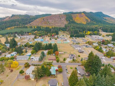 12 Short Run Rd, Carson, WA 98610 - photo 2