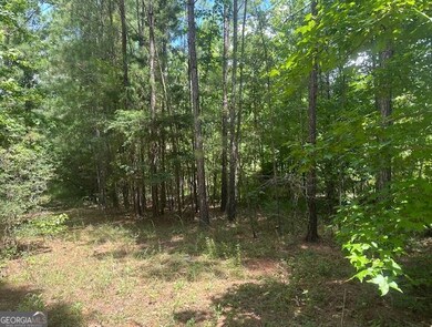 0 Edgewater Dr unit 10595879, Eatonton, GA 31024 - photo 3