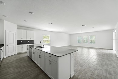 11132 Lore Way, Orlando, FL 32832 - photo 3