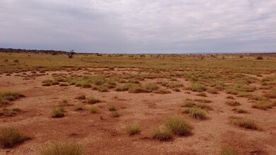 Grassland at the front of the property