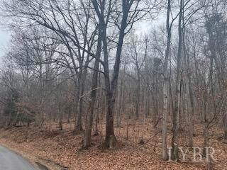 0 Rocky Ford Rd unit 335980, Bedford, VA 24523 - photo 5