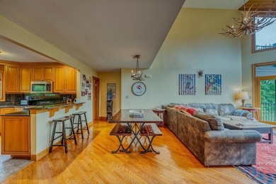 305 Crawford Ridge Rd unit 14, Carroll, NH 03575 - photo 4