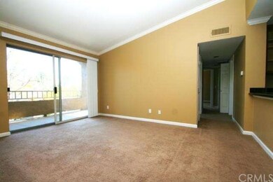 Vaulted Ceiling Entry & Living Room