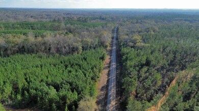 104 Gammage Rd, Pittsview, AL 36871 - photo 2