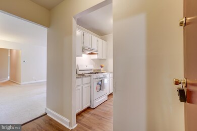 3800 Lyndhurst Dr unit 302, Fairfax, VA 22031 - photo 6