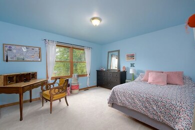 4767 Fesseneva Ln, Naperville, IL 60564 - photo 7