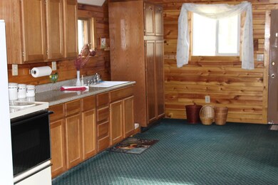 Updated Kitchen