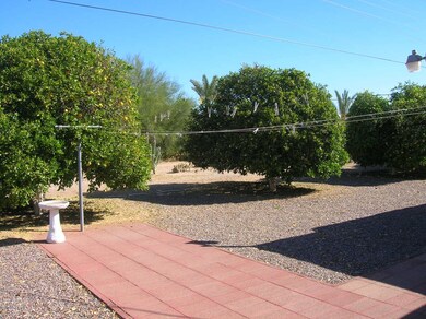 Private Backyard