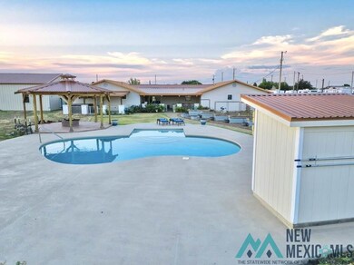 1007 Carnation Aly, Carlsbad, NM 88220 - photo 6