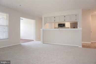 3580 Sherbrooke Cir unit 202, Woodbridge, VA 22192 - photo 3