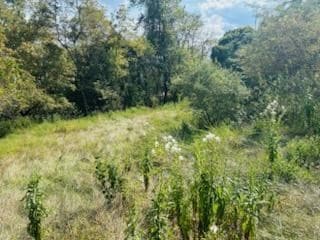 0 Eagle Ave, Wheeling, WV 26003 - photo 3