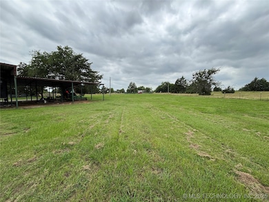 The back yard looking towards the road