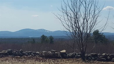 9 Winners Circle Farm, Center Tuftonboro, NH 03816 - photo 2