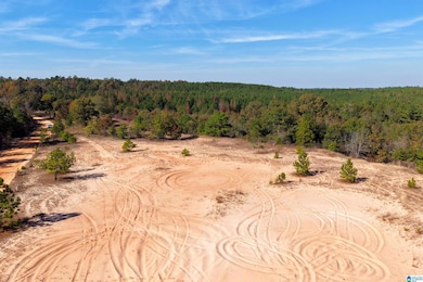 0 County Road 101, Plantersville, AL 36758 - photo 3