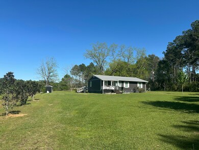 10712 U S 331, Defuniak Springs, FL 32433 - photo 4