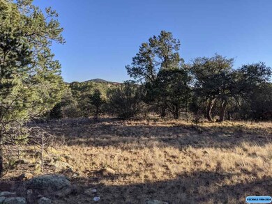 21 Vesuvius Way, Silver City, NM 88061 - photo 5