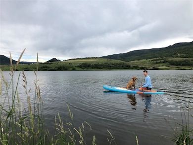 Paddleboard with your furry friends