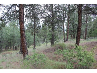 0 Pineview Ln, Canyon City, OR 97820 - photo 5