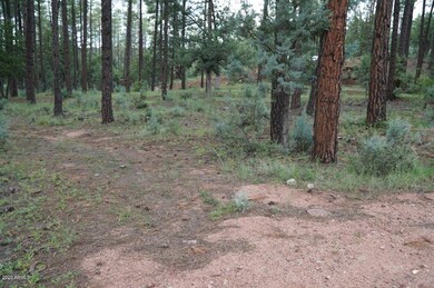 21B N Wild Oak Dr unit 20, Payson, AZ 85541 - photo 5