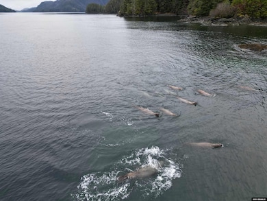 No Adress Legal Address Only unit Lot 4 Nakwasina Soun, Sitka, AK 99835 - photo 5