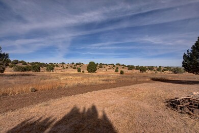 23000 N Post Rd, Paulden, AZ 86334 - photo 4