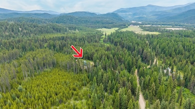Drone / aerial view of a forest and a mountainous background