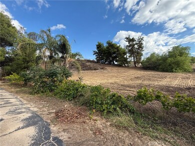 41805 William Hawthorne Cir, Temecula, CA 92592 - photo 5