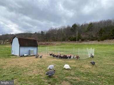 1279 Thorn Run Rd, Grant, WV 26833 - photo 7