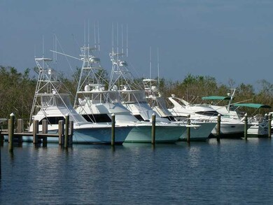 Waterfront/Dock/Pier. Marina