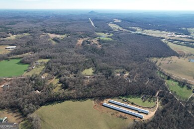 0 Joe Smith Rd unit 10657314, Mount Airy, GA 30563 - photo 3