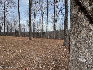 0 Saddleridge unit 1214257, Speedwell, TN 37870 - photo 3