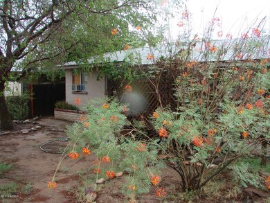 Mature plants