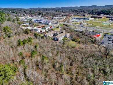 580 Goldenrod Dr unit 1, Birmingham, AL 35215 - photo 6