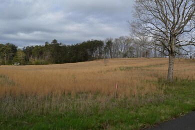 Lot 5 East Union Valley 010