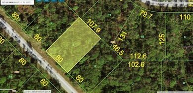 12522 Ranch Ave, Port Charlotte, FL 33953 - photo 6