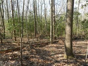 00 Nc Highway 134, Asheboro, NC 27205 - photo 7