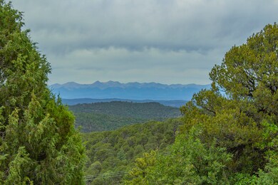 IMG_3970