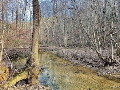 8648 Groundhog Rd, Adger, AL 35006 - photo 6