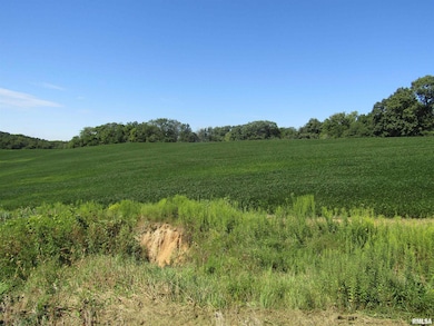 0 N Highway 9 County Rd unit RMAPA1260470, Lewistown, IL 61542 - photo 2