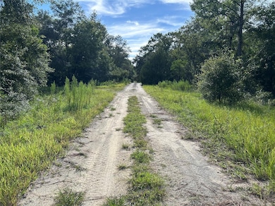 tbd NE 11th Place, Williston, FL 32696 - photo 2